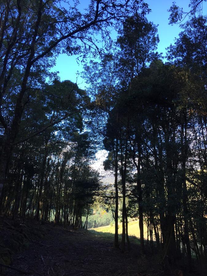 West Kentish Manna Hill Farmヴィラ エクステリア 写真